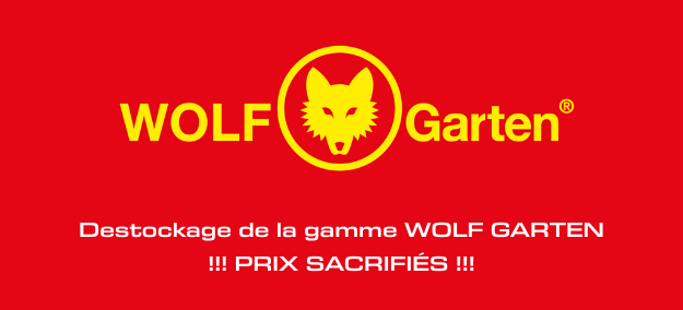 Offer Banner
